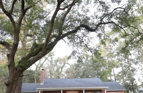 Tallahassee Maison | Spacious Mid-Cent Home, Close to FSU/Stadium, FAMU, TCC, Capitol and Hospitals