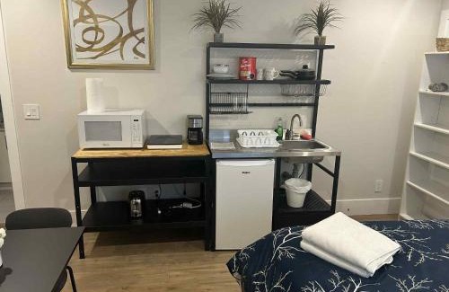 Maple Ridge Appartement | Spacious one Bedroom Suite Right in Downtown !