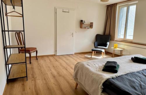 Meiringen Appartement | Spacious, stylish & central apartment, Great excursions in surrounding area