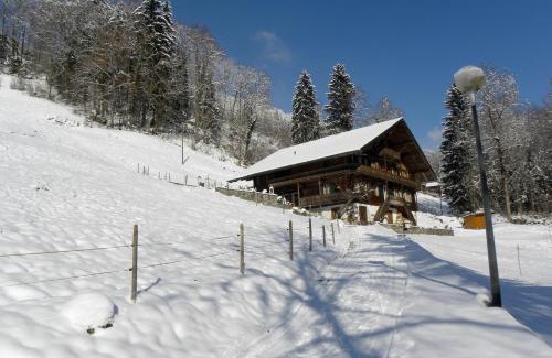 Val d'Illiez Lit Et Petit-Déjeuner | Spacious Swiss Alpine Chalet for Nature Lovers