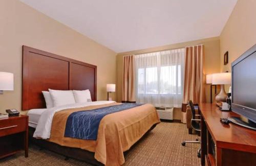 Fountain Hills Hôtel | Spark by Hilton Fountain Hills Scottsdale