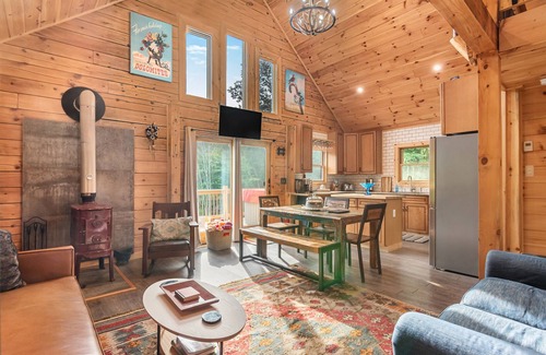 Denver Cabine | Sparkling Super-Private Cabin, Hot Tub, Firepit, Early Check-In!