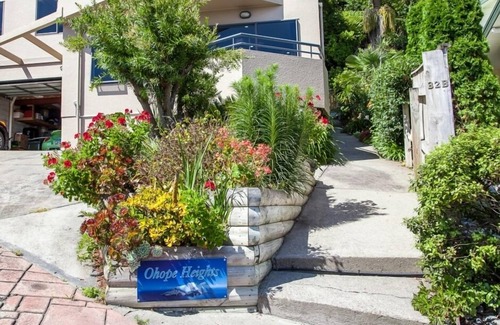 Ohope Appartement | Vues spectaculaires sur la plage de la plage Ohope