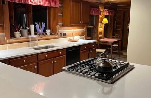 Arietta Cabine | Spectacular Log Cabin at Piseco Lake