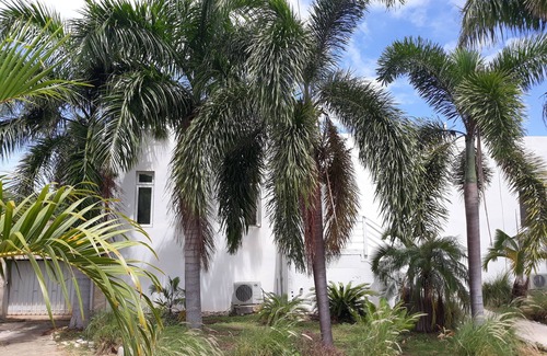 Christiansted Villa | Spectaculaire villa en bord de mer à Solitude Bay