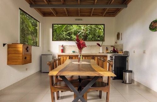 Piedras Blancas Maison | SpectacularJungle Canopy Treehouse