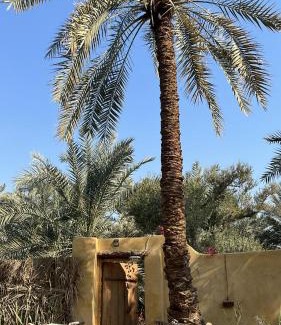Siwa Maison | Spellbound in Siwa