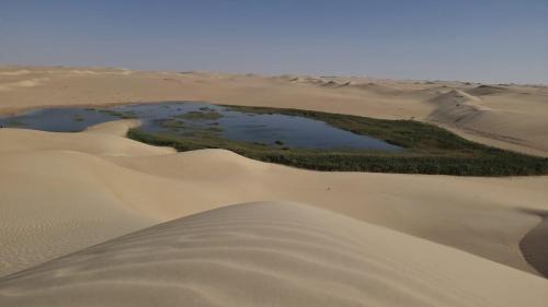 Siwa Maison | Spellbound in Siwa