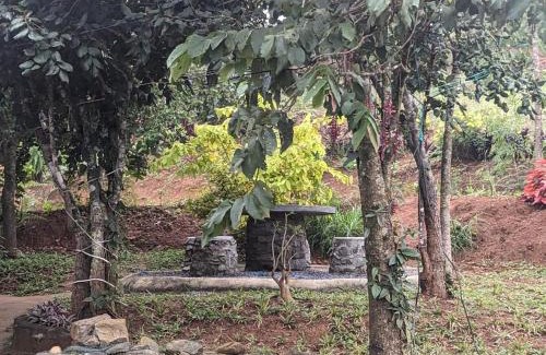 Mannarkkad Hôtel | Spirit of the Wild Eco Village