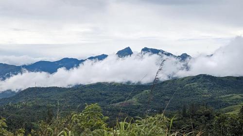 Mannarkkad Hôtel | Spirit of the Wild Eco Village