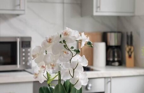 Tottenham Appartement | Splendid and Comfy 1 bedroom apartment
