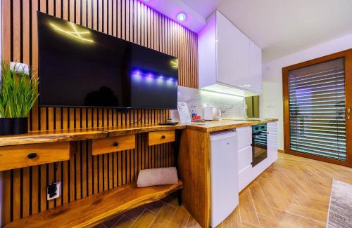 Subcarpathian Province Appartement | Spokojne Zacisze- Rzeszów Suite, Free Parking by StayNest