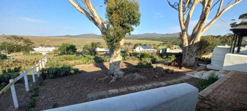 Napier Appartement | Spookhuis