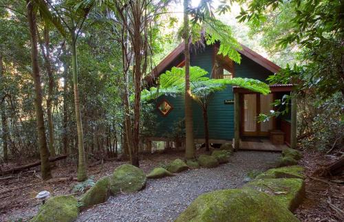 Springbrook Cabine | Springbrook Lyrebird Retreat