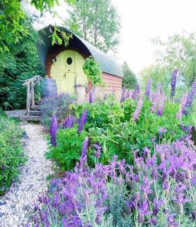 Springfield Maison | Springfield Cabin