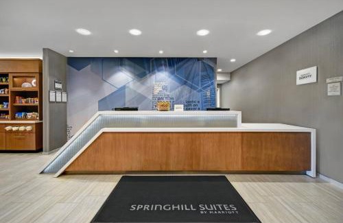 Arden Hills Hôtel | SpringHill Suites by Marriott St. Paul Arden Hills