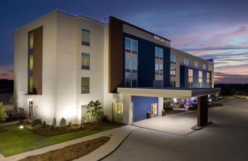 New Castle Hôtel | SpringHill Suites by Marriott Birmingham Gardendale