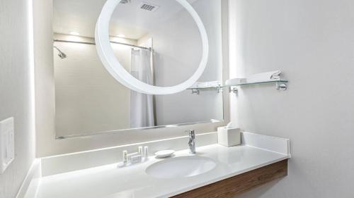 North San Antonio - SAT Hôtel | SpringHill Suites by Marriott San Antonio Airport