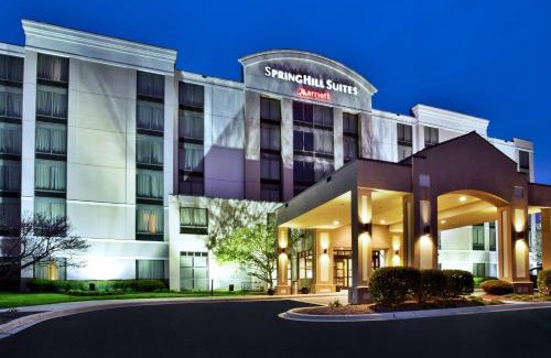 Burr Ridge Hôtel | SpringHill Suites by Marriott Chicago Southwest at Burr Ridge Hinsdale