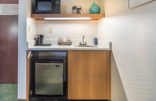 Burr Ridge Hôtel | SpringHill Suites by Marriott Chicago Southwest at Burr Ridge/Hinsdale