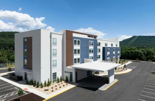 Hollins Hôtel | SpringHill Suites by Marriott Roanoke North
