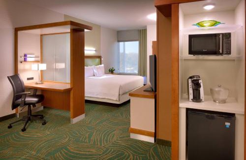 Houston Hôtel | SpringHill Suites by Marriott Houston I-45 North