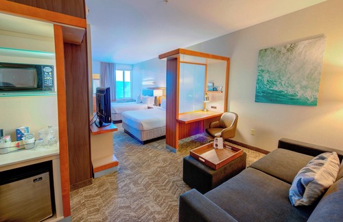 Macon Hôtel | SpringHill Suites by Marriott Macon