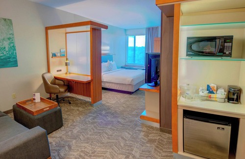 Macon Hôtel | SpringHill Suites by Marriott Macon