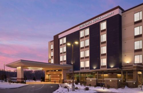 Center Valley Hôtel | SpringHill Suites by Marriott Allentown Bethlehem/Center Valley