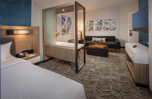 Lakeview Hôtel | SpringHill Suites by Marriott Gainesville Haymarket