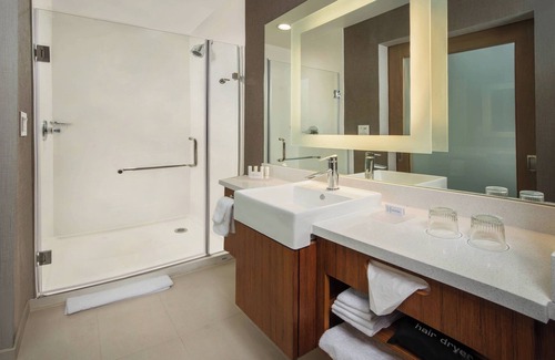 Lakeview Hôtel | SpringHill Suites by Marriott Gainesville Haymarket