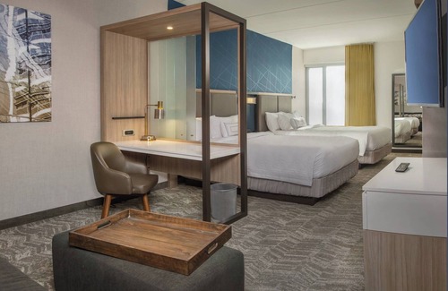 Lakeview Hôtel | SpringHill Suites by Marriott Gainesville Haymarket