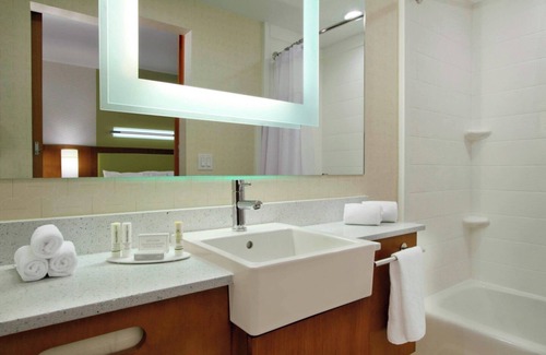 Houston Hôtel | Springhill Suites Houston I-45 North