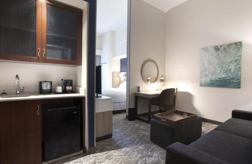 Eden Hôtel | SpringHill Suites Savannah Airport