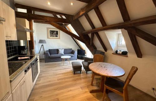 Ediger Appartement | Springiersbacher Hof