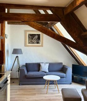 Ediger Appartement | Springiersbacher Hof