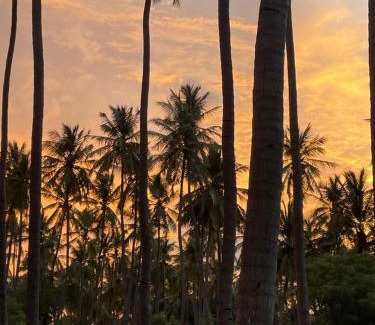 Lalgudi Maison | Srirangam Heritage Farmhouse - Perfect Spot for Parties & Events