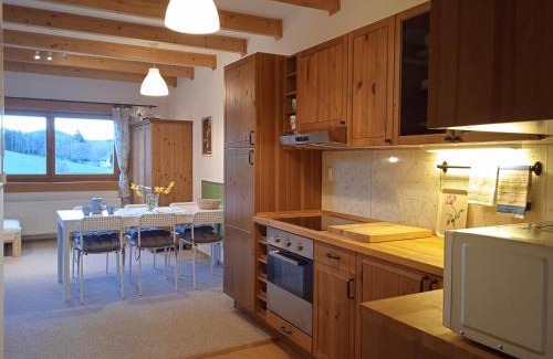 Svinna Appartement | Srub Javorná - apartmány Šumava