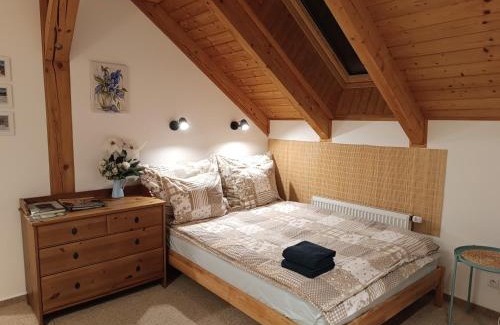 Svinna Appartement | Srub Javorná - apartmány Šumava