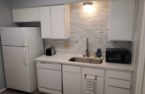 Austin Maison | St. Amant Place with 2 BR 1.5 BA Free Private Parking Pet Stays for Free !