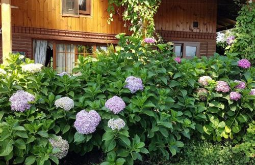 Curico Lit Et Petit-Déjeuner | Sta. Marta B&B