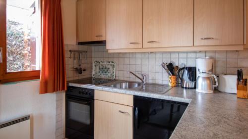 Fiesch Appartement | Stachelbeere UG