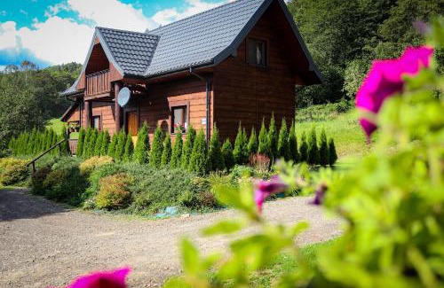 Cisna Maison | Stacja Żubracze