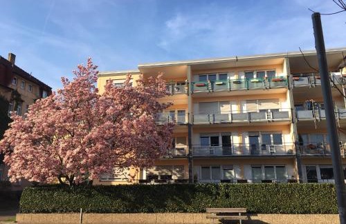 Muellheim Appartement | Stadtferienwohnung