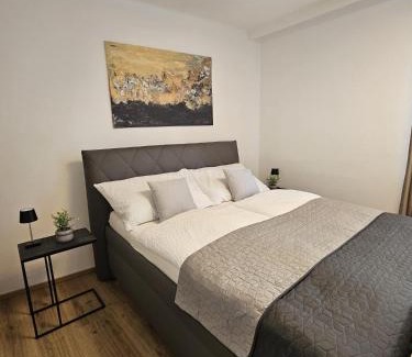 Wels Appartement | Stadtoase Wels II