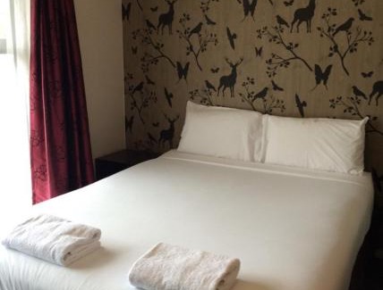 Hilltop Hôtel | Stag Park Accommodation