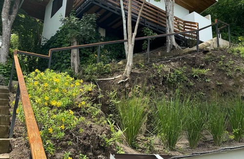 Paquera Appartement | Stairway to heaven where the jungle meets the sky! Bioluminescence, Isla Tortuga