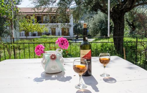 Poulithra Maison | Stam House