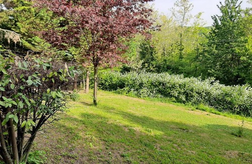 Gropparello Maison | Stanza doppia in Villa dell'800