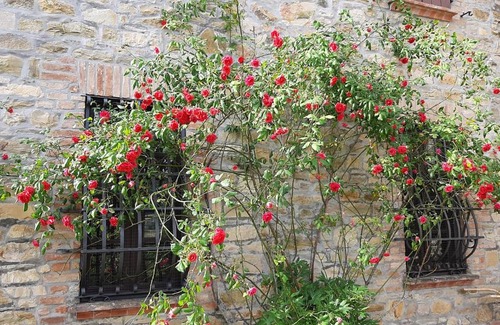 Gropparello Maison | Stanza Singola degli Iris